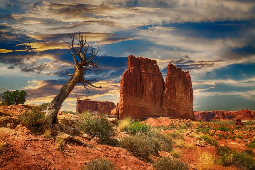 bryce canyon, usa, canyon-2611781.jpg